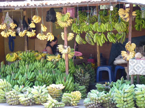 Sulawesi Toraja Travel