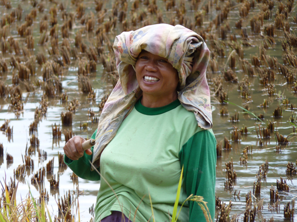 Sulawesi Toraja Travel
