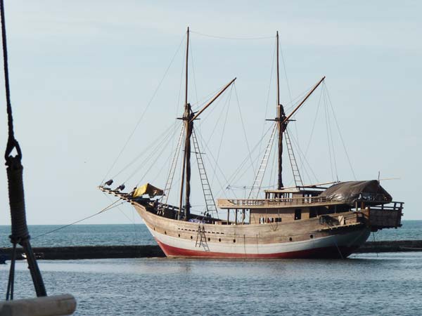 Sulawesi Toraja Travel