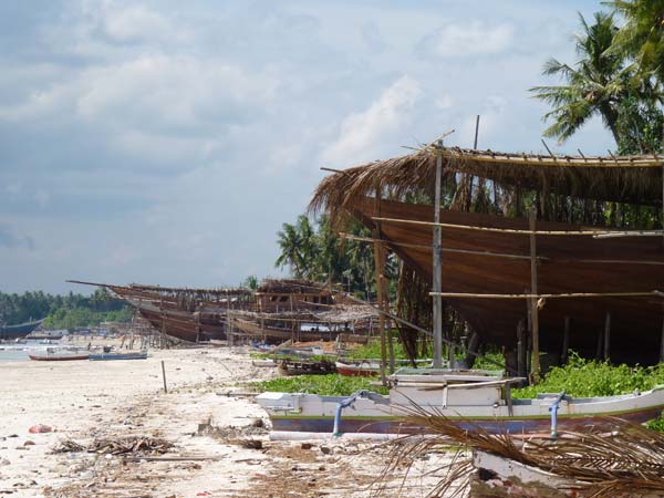 Sulawesi Toraja Travel