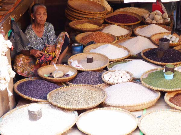 Sulawesi Toraja Travel