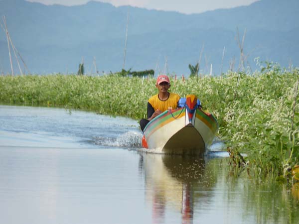 Sulawesi Toraja Travel