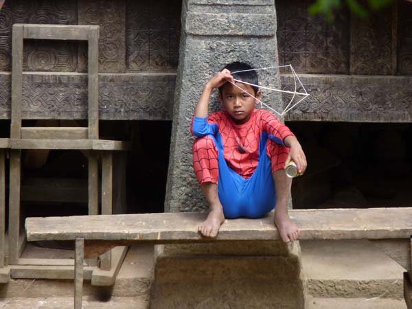 Sulawesi Toraja Travel