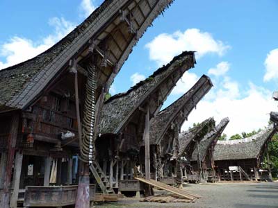 Sulawesi Toraja Travel