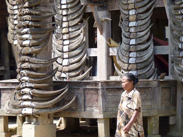Sulawesi Toraja Travel