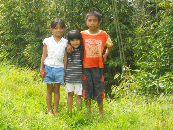 Sulawesi Toraja Travel