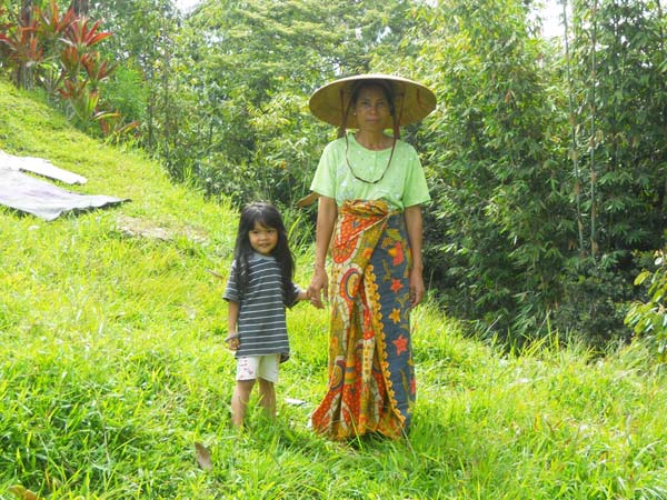 Sulawesi Toraja Travel