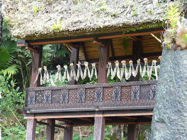 Sulawesi Toraja Travel