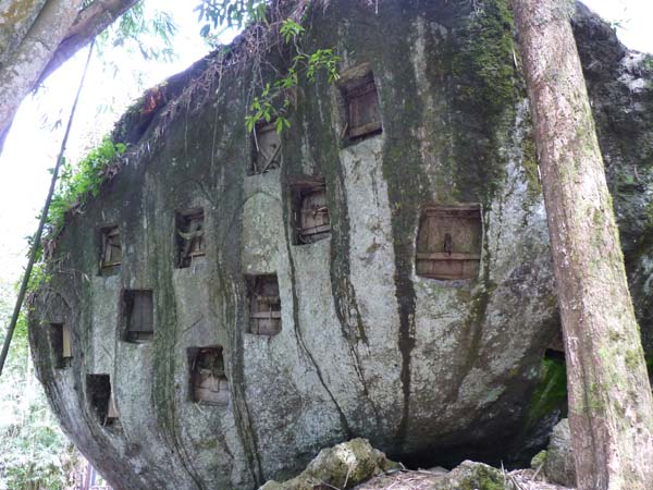 Sulawesi Toraja Travel