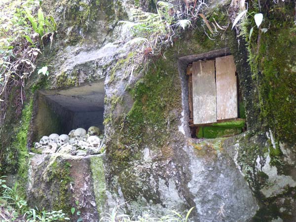 Sulawesi Toraja Travel