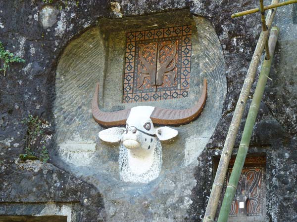 Sulawesi Toraja Travel