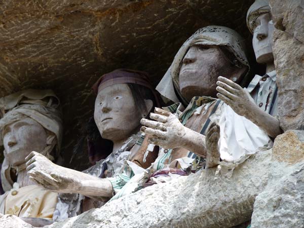 Sulawesi Toraja Travel