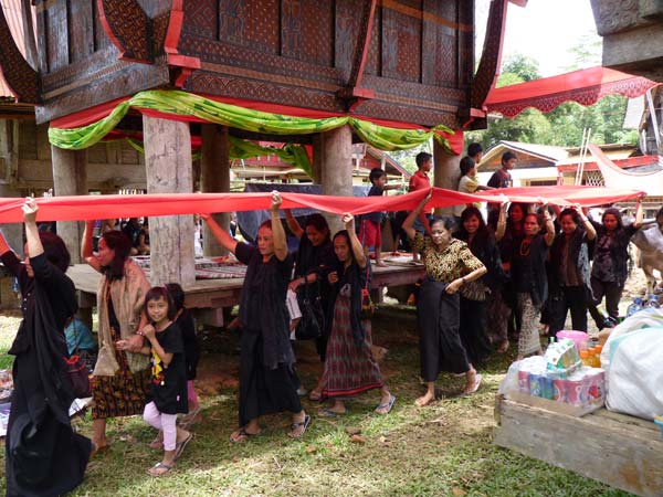 Sulawesi Toraja Travel