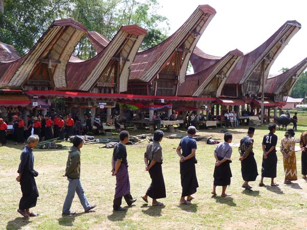 Sulawesi Toraja Travel