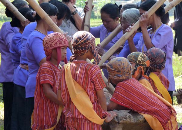 Sulawesi Toraja Travel