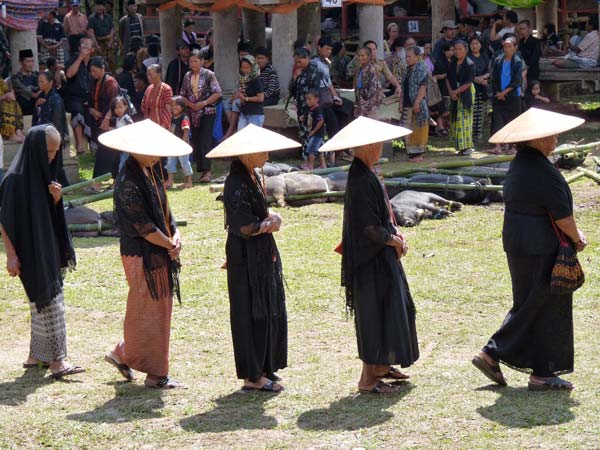 Sulawesi Toraja Travel
